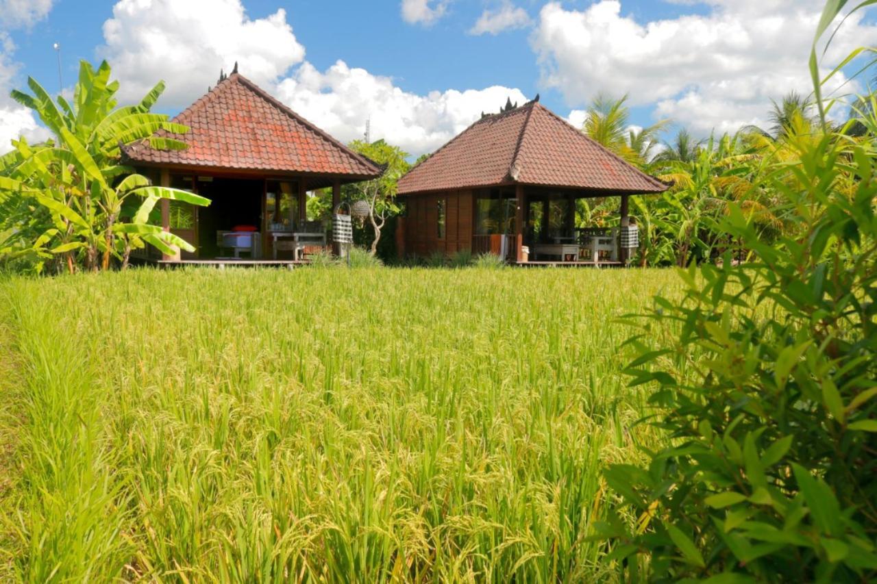 Hotel Keramas Surf Camp Exterior foto