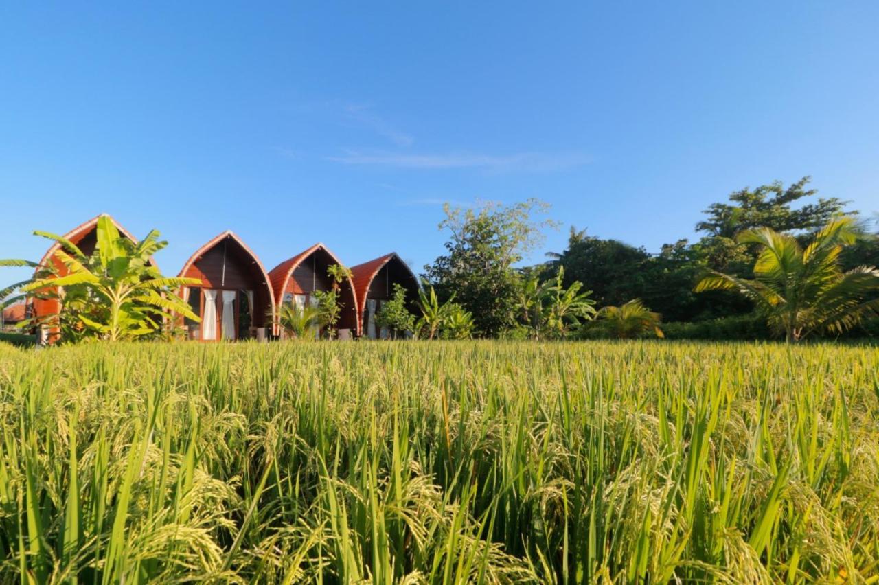 Hotel Keramas Surf Camp Exterior foto