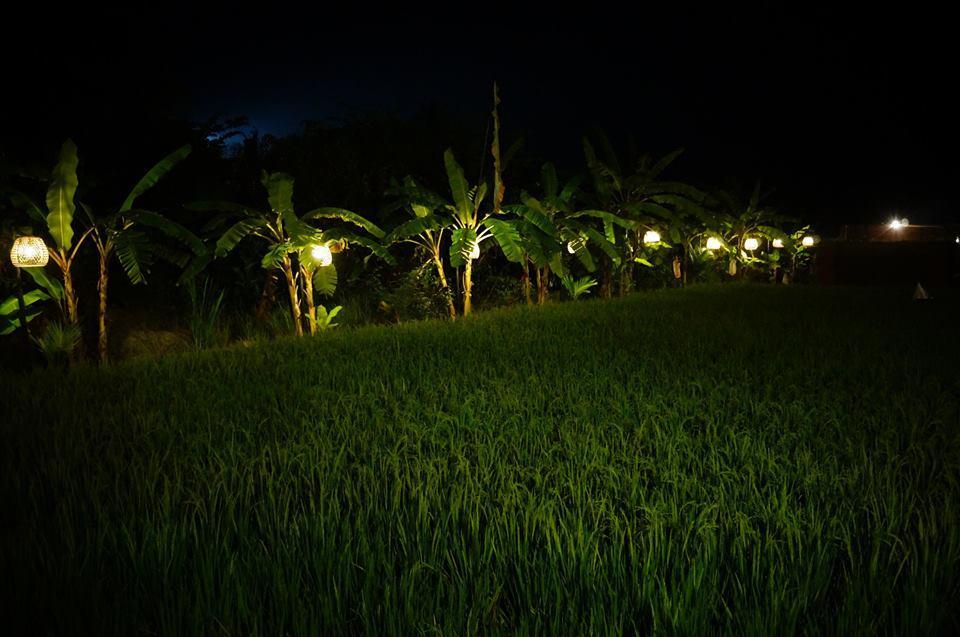 Hotel Keramas Surf Camp Exterior foto